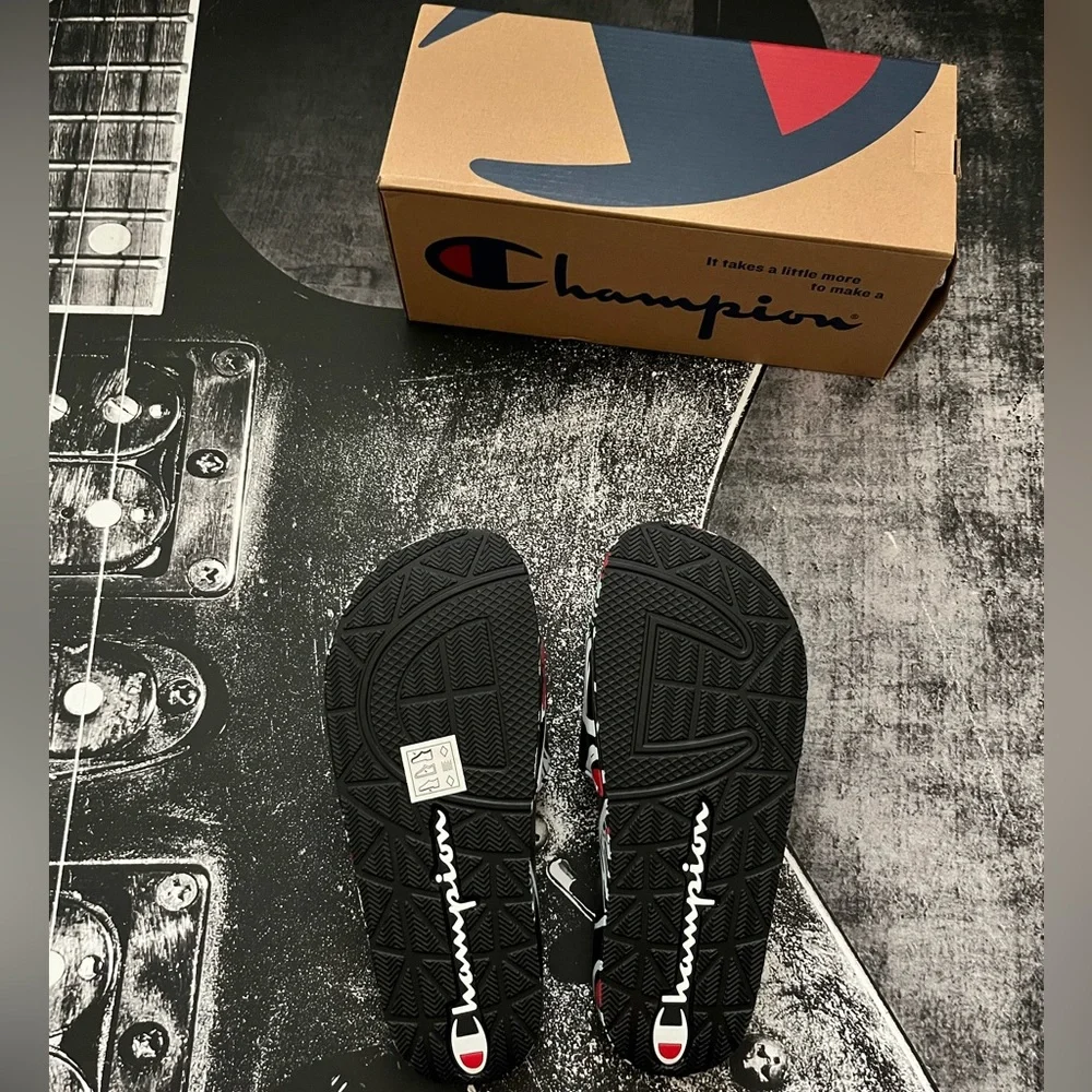 NIB Champion Slides